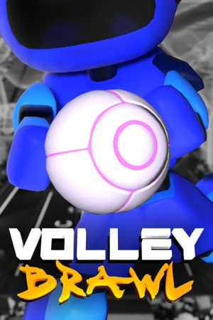 VolleyBrawl