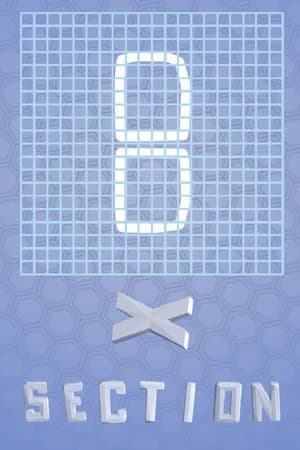XSection