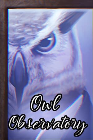 Dinner with an Owl: Owl Observatory