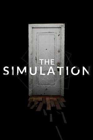 The Simulation