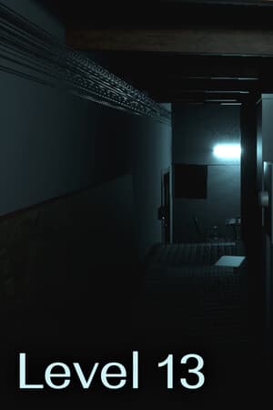 Level 13
