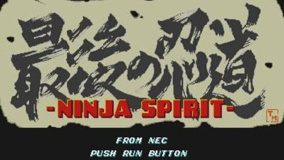 Ninja Spirit screenshot 9