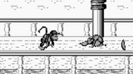 Donkey Kong Land 2 screenshot 10