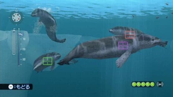 Endless Ocean: Blue World screenshot 12