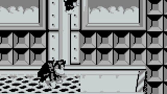 Donkey Kong Land screenshot 9