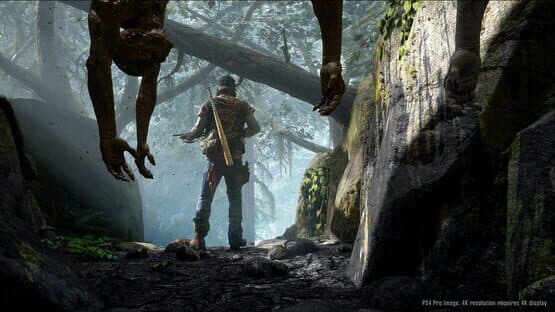 Days Gone screenshot 10