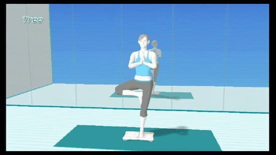 Wii Fit screenshot 8