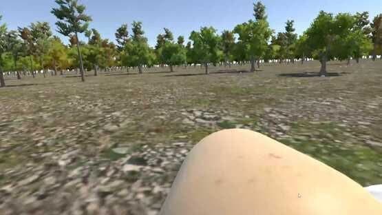 Chicken VR screenshot 7
