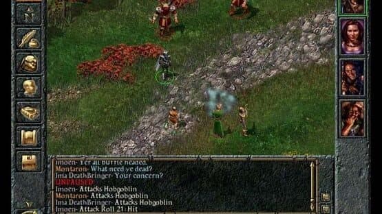 Baldur's Gate screenshot 9