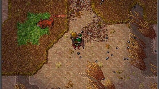 Tibia screenshot 8