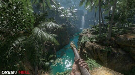 Green Hell screenshot 8