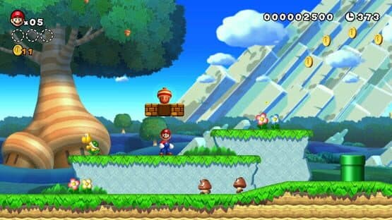 New Super Mario Bros. U screenshot 10