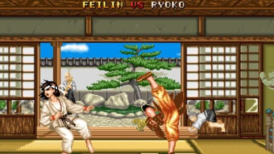 Fighter's History screenshot 11