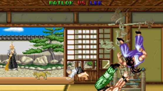 Fighter's History screenshot 7