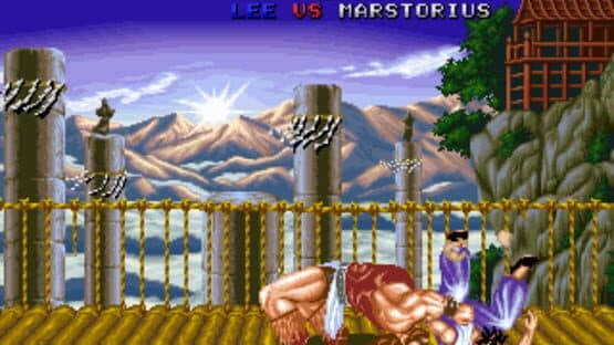 Fighter's History screenshot 8