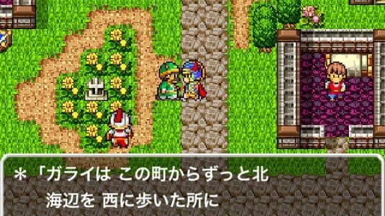 Dragon Quest screenshot 16