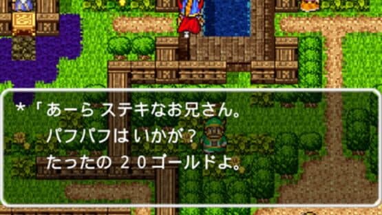 Dragon Quest screenshot 15