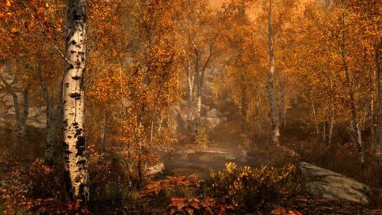 The Elder Scrolls V: Skyrim - Anniversary Edition screenshot 15