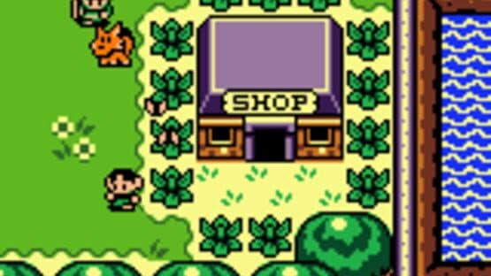 The Legend of Zelda: Link's Awakening DX screenshot 7