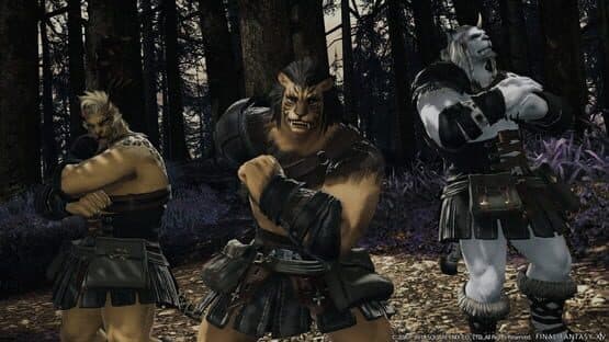 Final Fantasy XIV: Shadowbringers screenshot 7