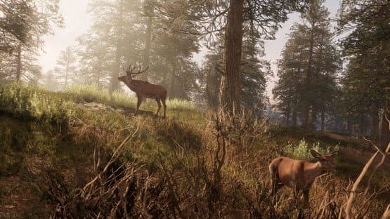 A Twisted Path To Renown screenshot 8
