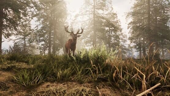 A Twisted Path To Renown screenshot 15