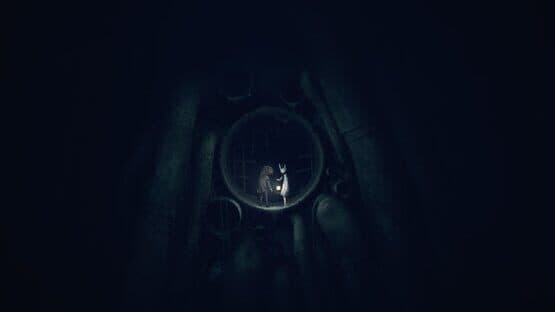 Reanimal screenshot 13