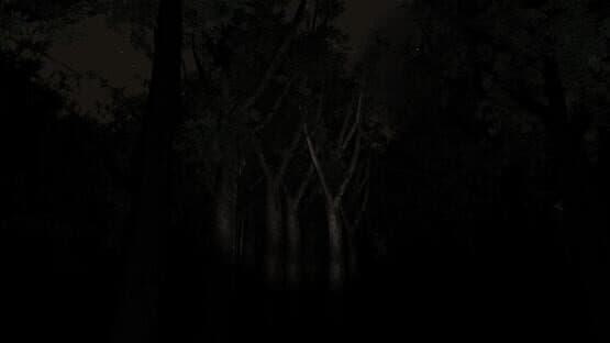 Slender: The Eight Pages screenshot 7