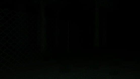 Slender: The Eight Pages screenshot 14