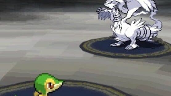 Pokémon Black Version screenshot 13
