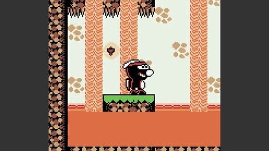 Rabidja's Revenge screenshot 11