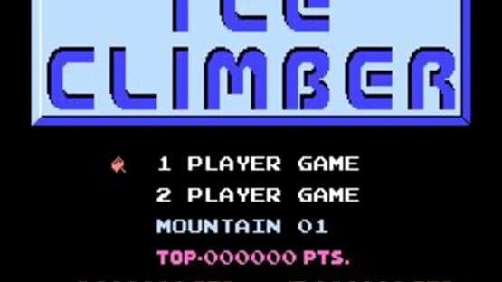 Ice Climber screenshot 7