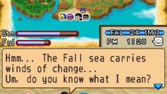 Harvest Moon DS: Island of Happiness screenshot 11