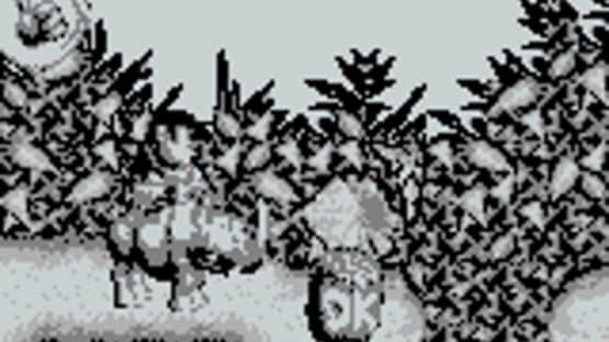 Donkey Kong Land screenshot 8