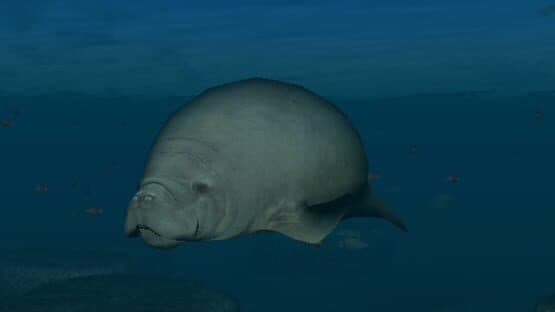 Endless Ocean: Blue World screenshot 7