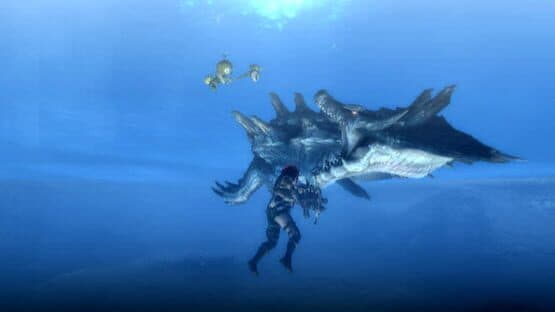 Monster Hunter Tri screenshot 9