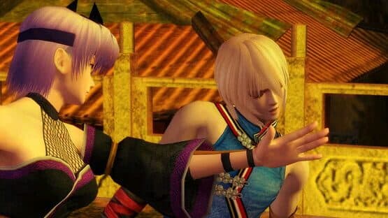 Dead or Alive: Dimensions screenshot 10