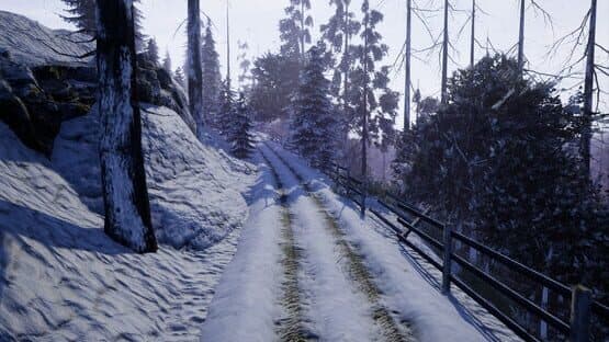 Before Nightfall screenshot 10
