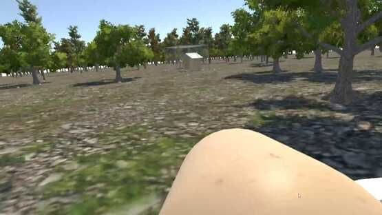 Chicken VR screenshot 10