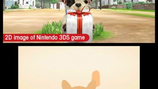 Nintendogs + Cats: French Bulldog & New Friends screenshot 8