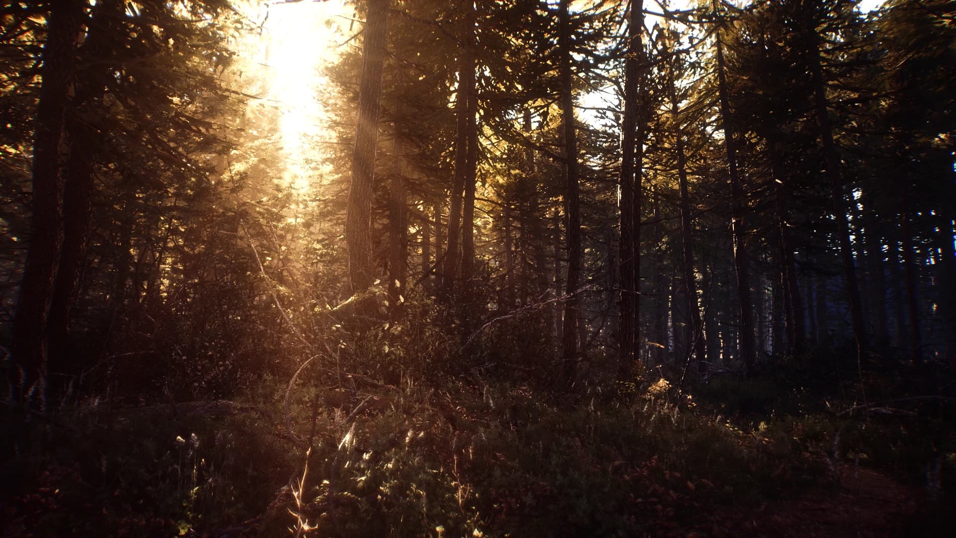 BlackHills_ReShade