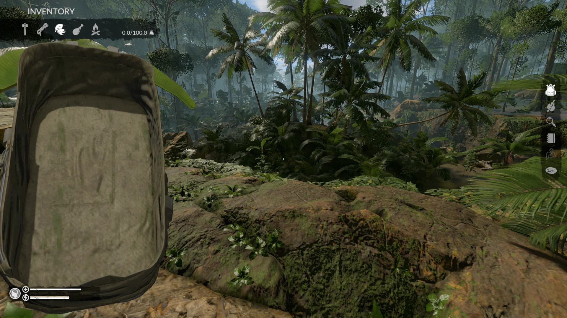Increased Carry Weight