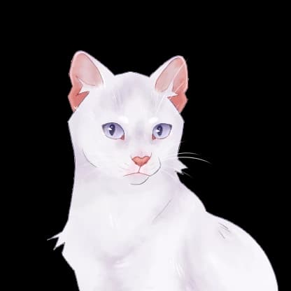 Missy NPC