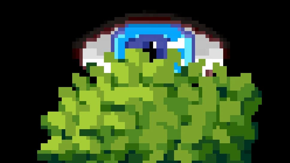 Damn Bush