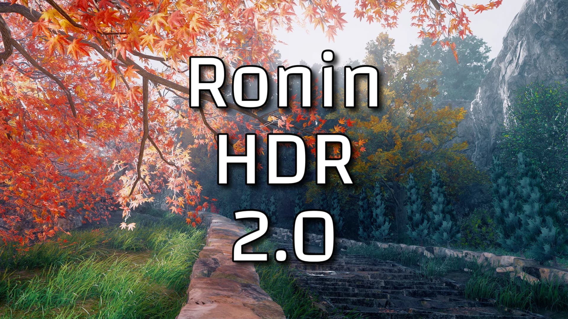 Ronin HDR 2.0