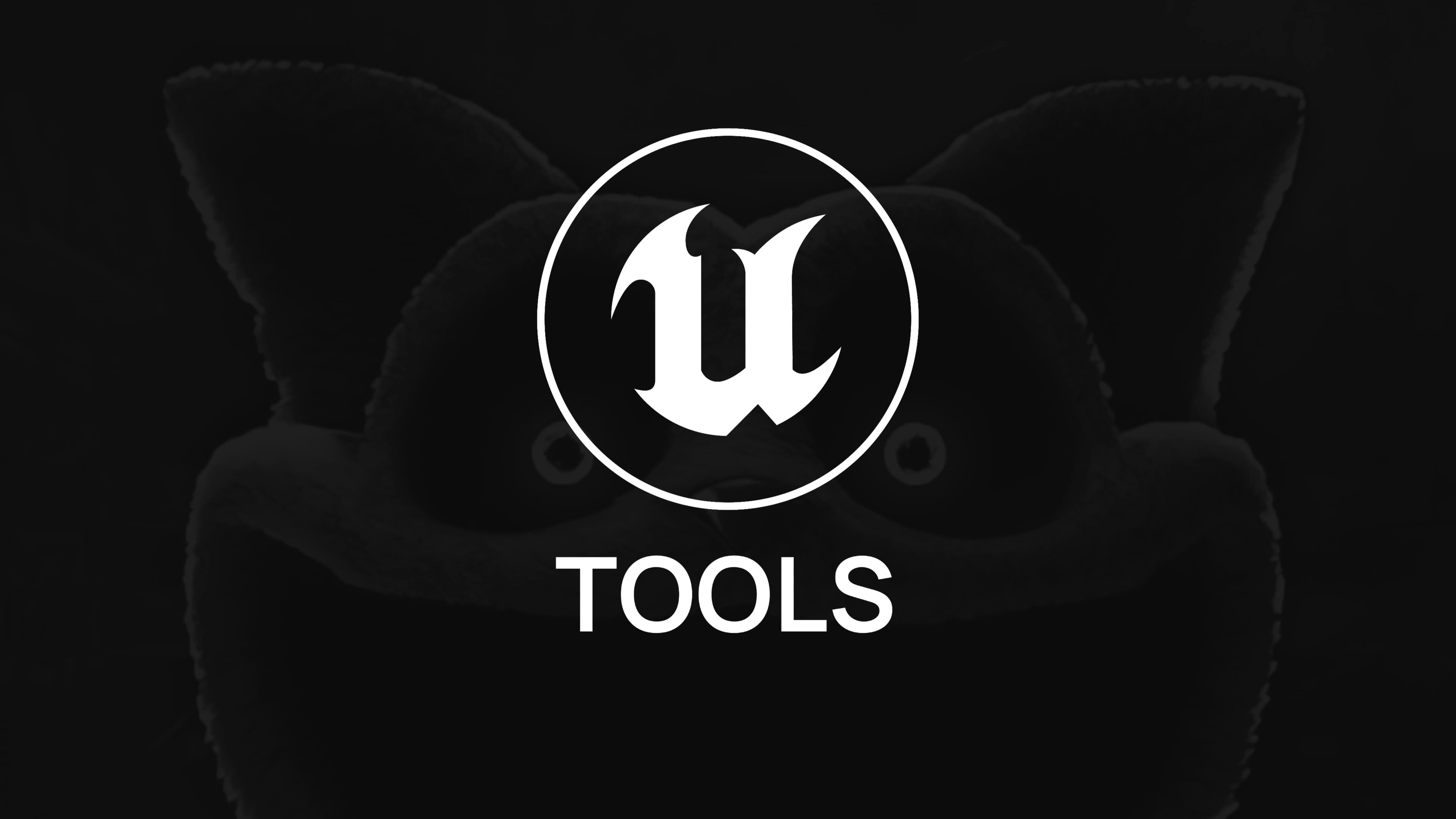 UETools (Chapter 3) - Developer Console . FreeCamera . Debugging